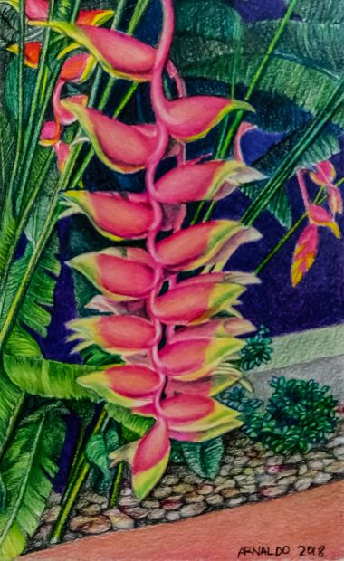Heliconias (2018) - Marielli Arnaldo