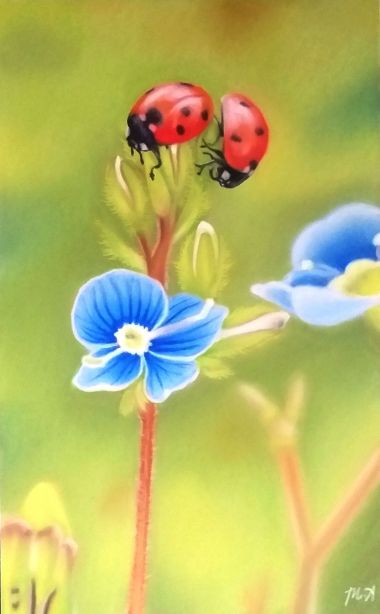 Ladybugs (2022) - Mara Althea
