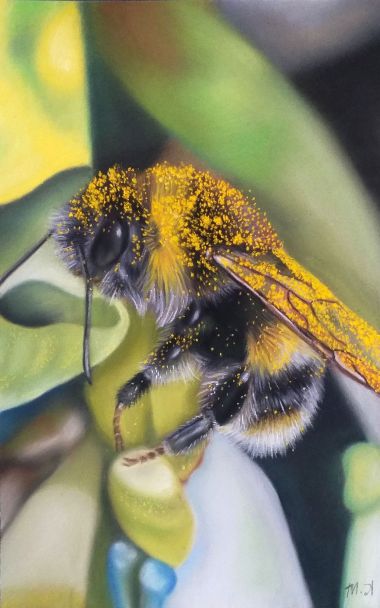 Bumblebee (2022) - Mara Althea