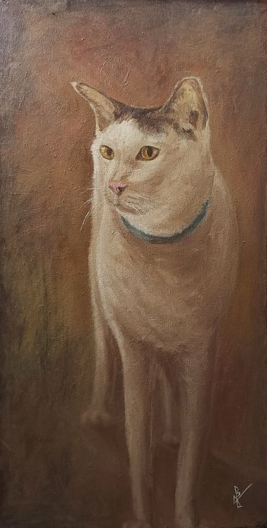 Whiskers (2023) - Joemz Barros