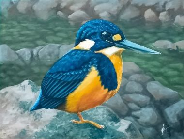 Indigo-Banded Kingfisher (2024) - Joemz Barros