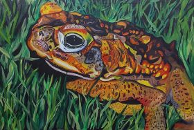 Frog (2023) - Jeffrey Mercado