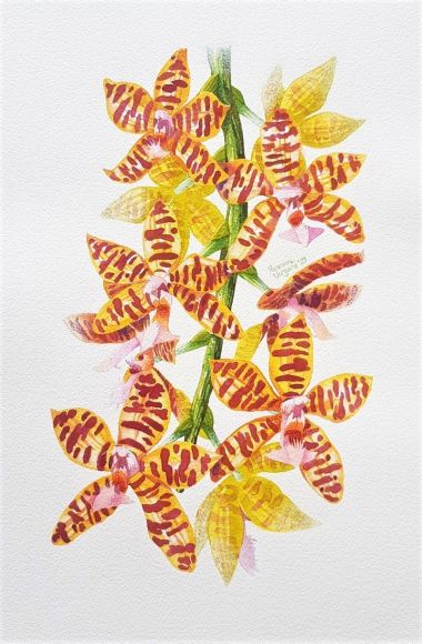 Red and Yellow (2021) - Roxanne Vergara