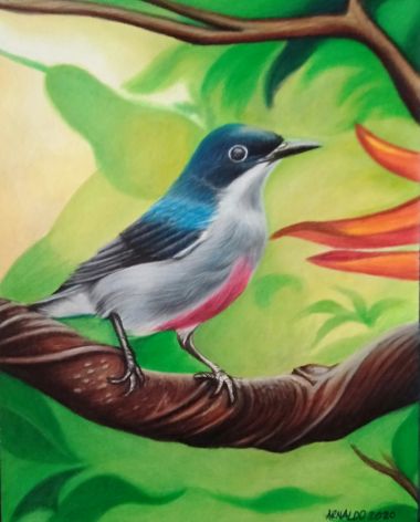 Red-keeled Flowerpecker (2020) - Marielli Arnaldo