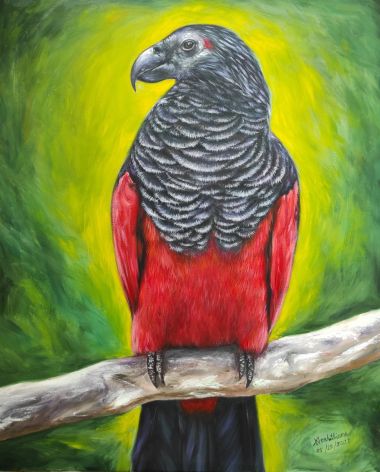 Dracula Parrot (Pesquet's Parrot) (2021) - Noah Sian