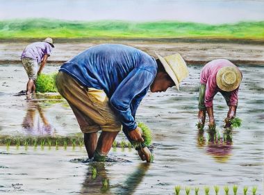 Planting Rice (2025) - Noah Sian