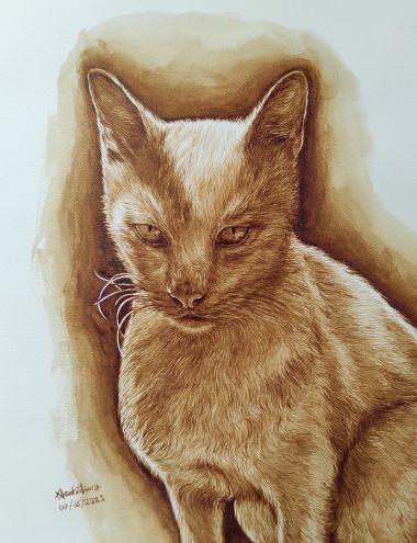 CoffeeCat (2021) - Noah Sian