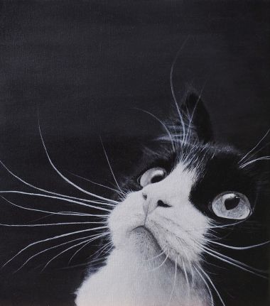 Whiskers (2020) - John Emmanuel Pacis