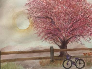 Hanami (2023) - Vanina Sabio