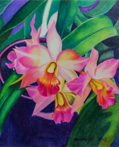 Cattleya (2018) - Marielli Arnaldo