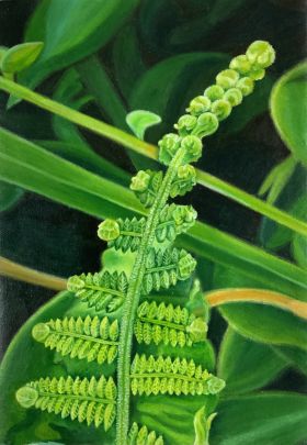 The Young Fern (2022) - Abegail Lasquety