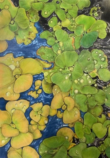 Little Water Lily (2019) - Abegail Lasquety