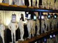 Art Fair Philippines 2020 Opens; Check Out These Activities!