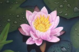 Lotus Flower by Mara Althea